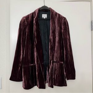 Pablo Velvet Blazer (Size 38)